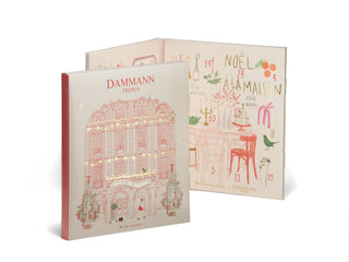 CALENDRIER DE L'AVENT 2026 | 24 Sachets Cristal | DAMMANN- Coffret- DAMMANN FRÈRES-Tuttifrutea.com